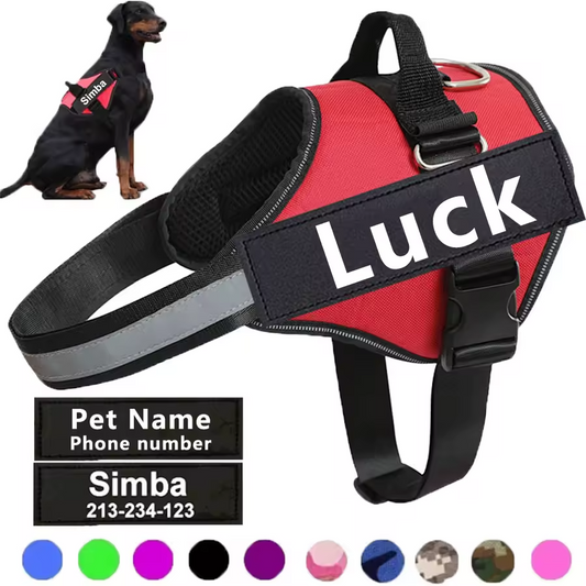 Personalised No Pull Dog Harness